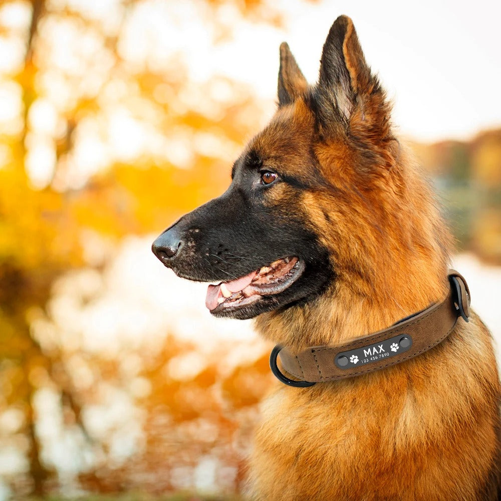 IDLux Lederen Halsband | Gepersonaliseerde Hondenhalsband met Ingebouwde Naamtag