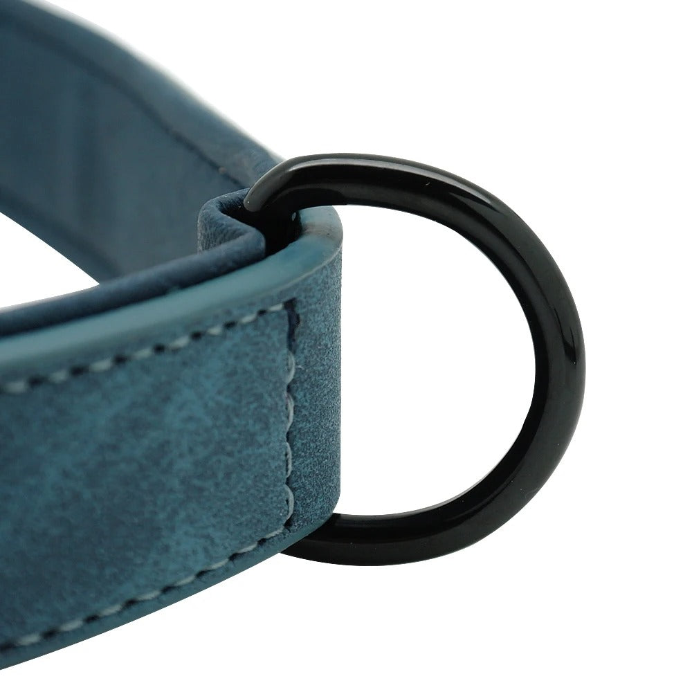 IDLux Lederen Halsband | Gepersonaliseerde Hondenhalsband met Ingebouwde Naamtag
