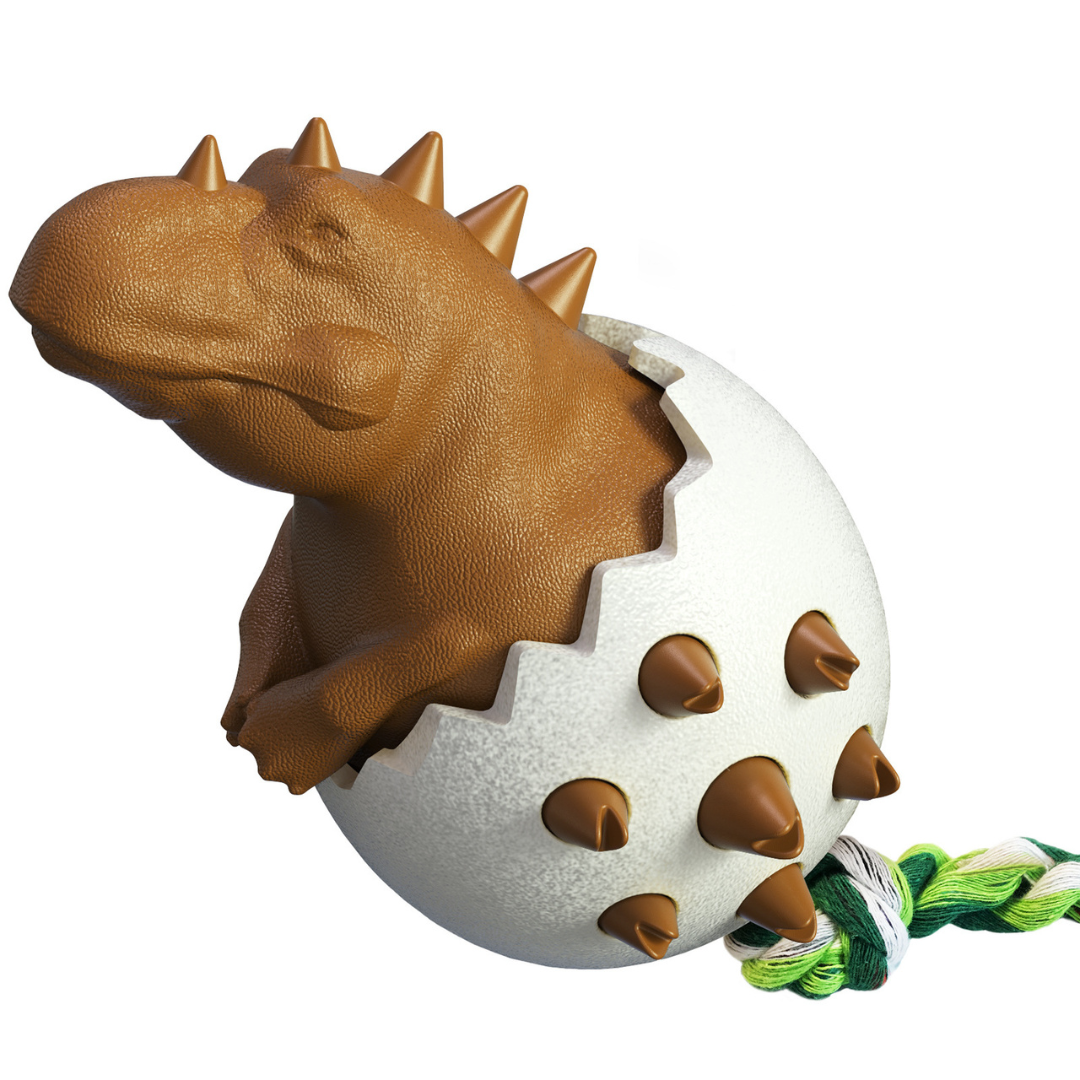 ChompBuddy | Duurzaam kauwspeelgoed voor gebitsverzorging en verveling