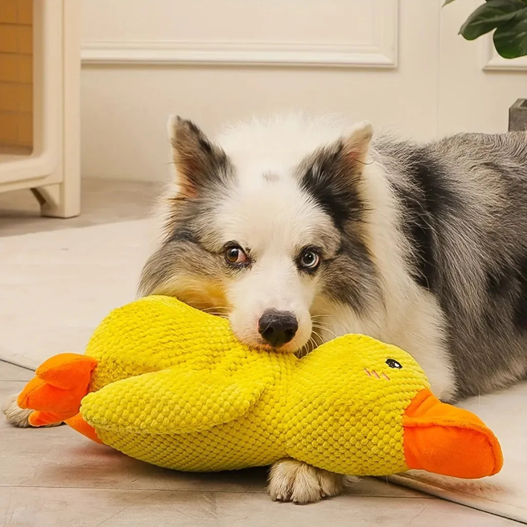 Rustige Kwaker Knuffel | Kalmtebrengende Knuffel voor Honden