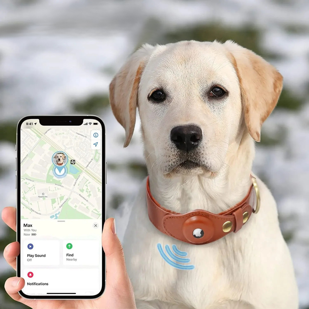 Pootspeurder | AirTag Hond Halsband voor Veiligheid
