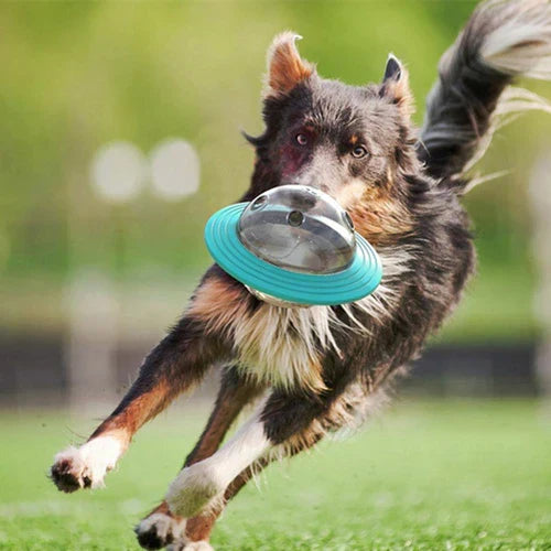 Javi | Interactief UFO-vormig voerspeelgoed voor honden