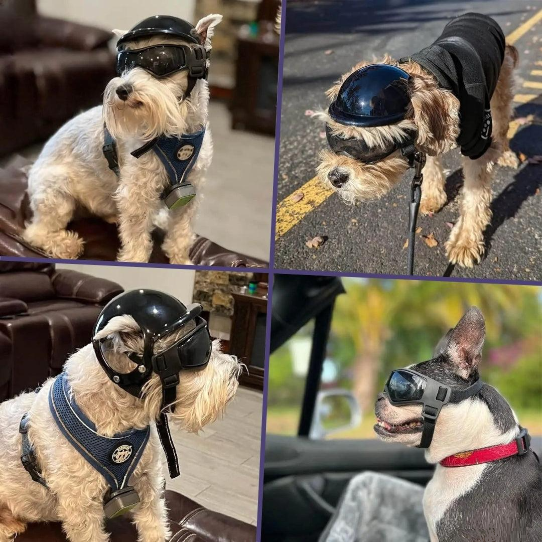Joe | Veiligheidshelm Voor Honden