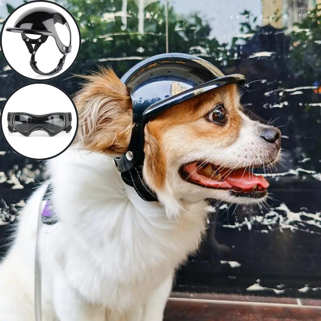Joe | Veiligheidshelm Voor Honden