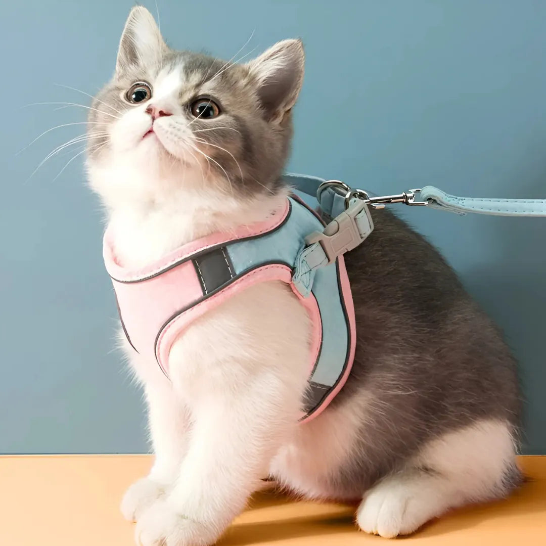 KatjeKlaar Tuigje | Verstelbaar en Veilig Veiligheidstuigje voor Katten