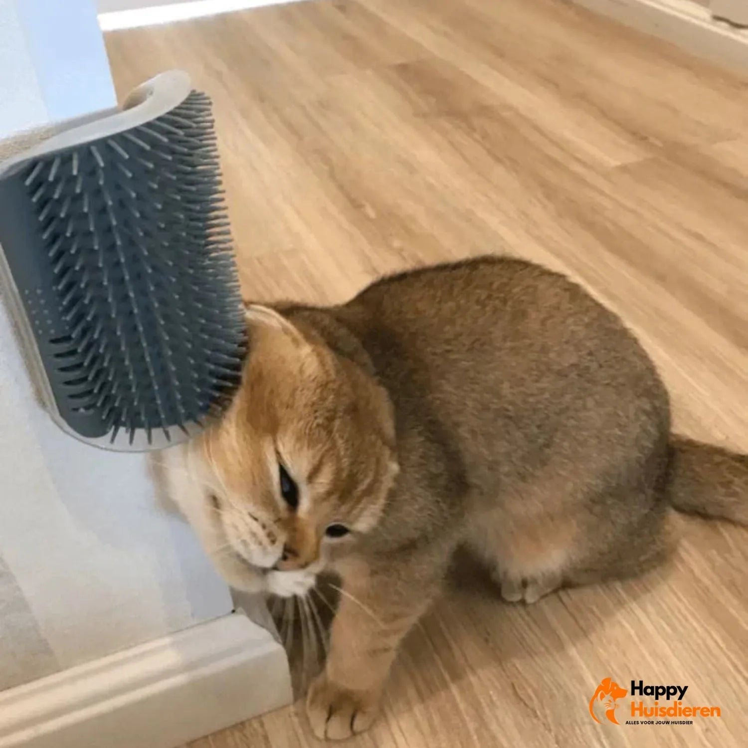 Katten Verwenhoek | Zelfborstel voor speelse verzorging en ontspanning