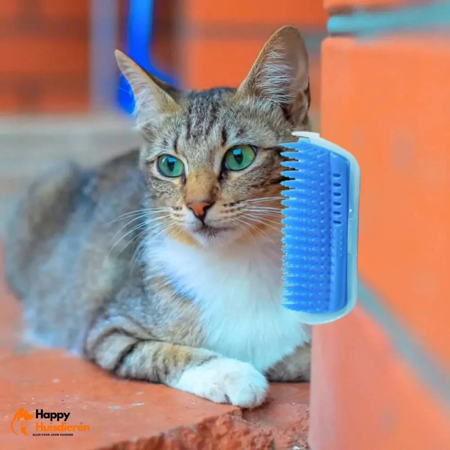 Katten Verwenhoek | Zelfborstel voor speelse verzorging en ontspanning