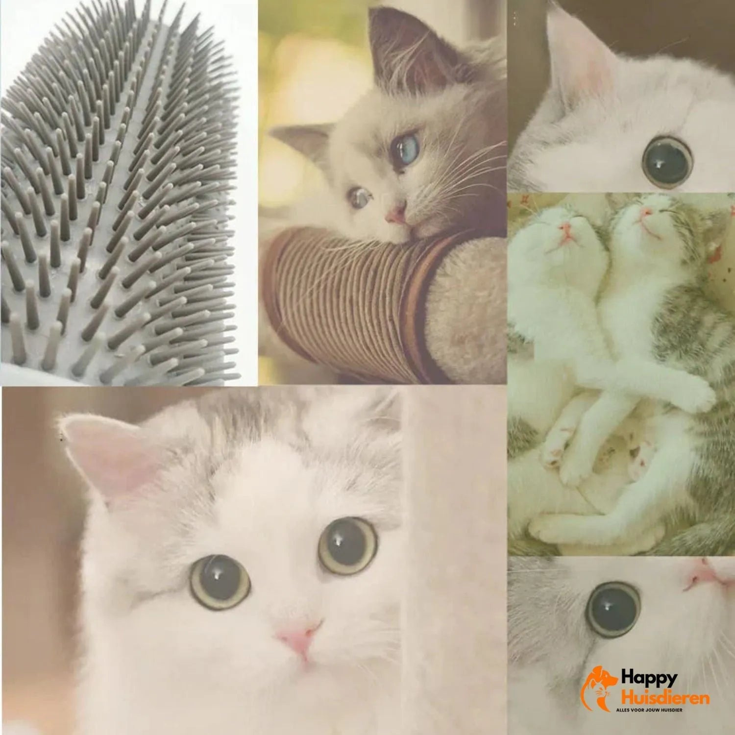 Katten Verwenhoek | Zelfborstel voor speelse verzorging en ontspanning