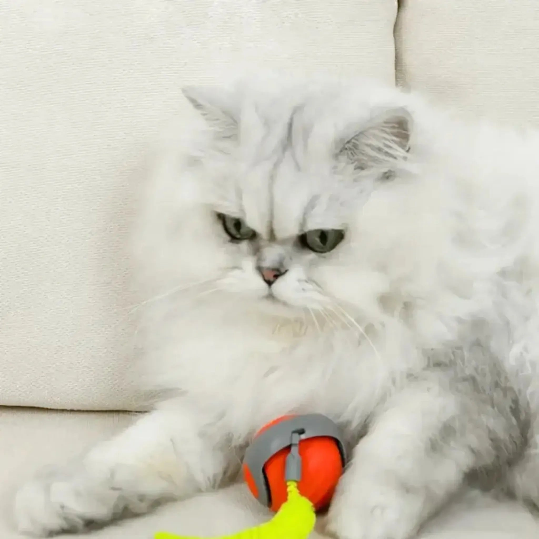 KattenZoom 2.0 | Stimuleer Speels Gedrag met Beweeglijk Speelgoed