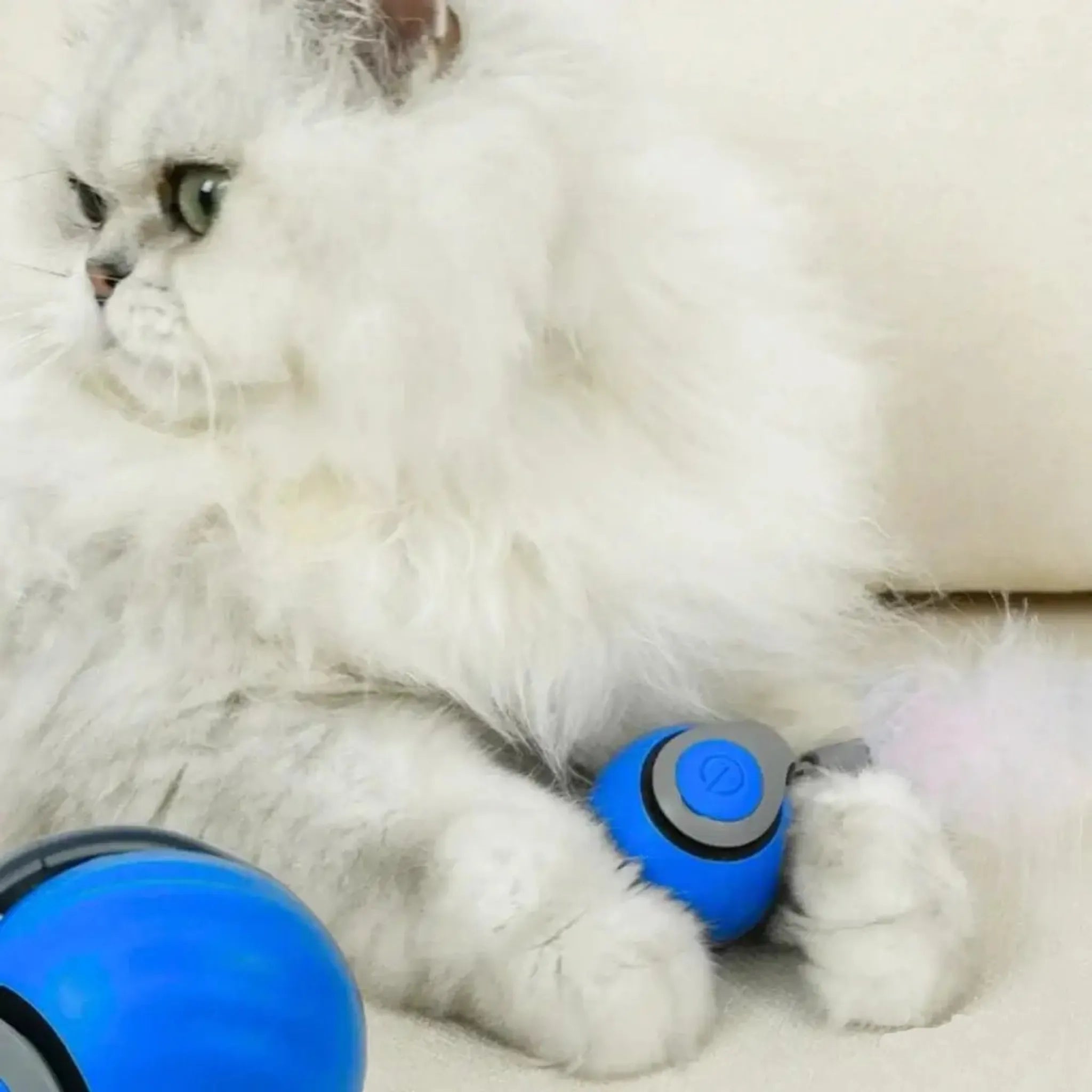 KattenZoom 2.0 | Stimuleer Speels Gedrag met Beweeglijk Speelgoed