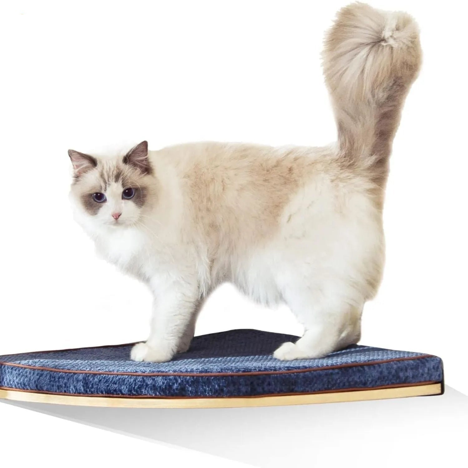 Kattentoren Aero | Compacte Wandset met Steps en Hangmat