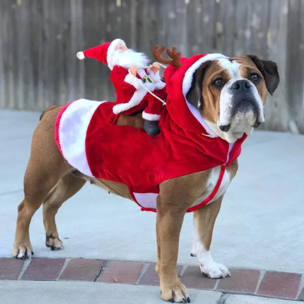 Kerst Puppy Plezier | Speelgoed voor Honden met Feestelijke Winterthema