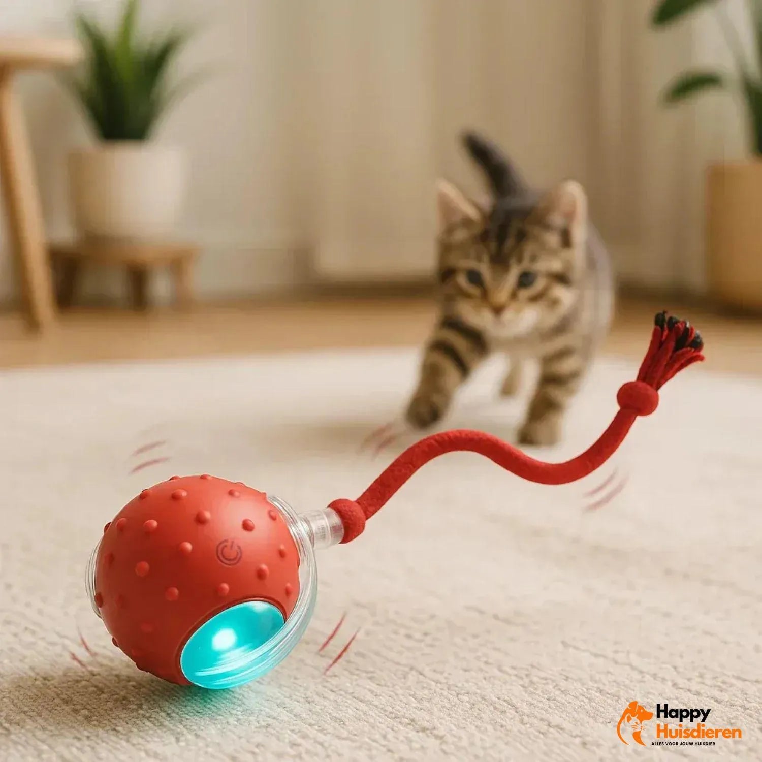 KittyChaser | Slimme speelbal voor katten – actief & interactief speelplezier