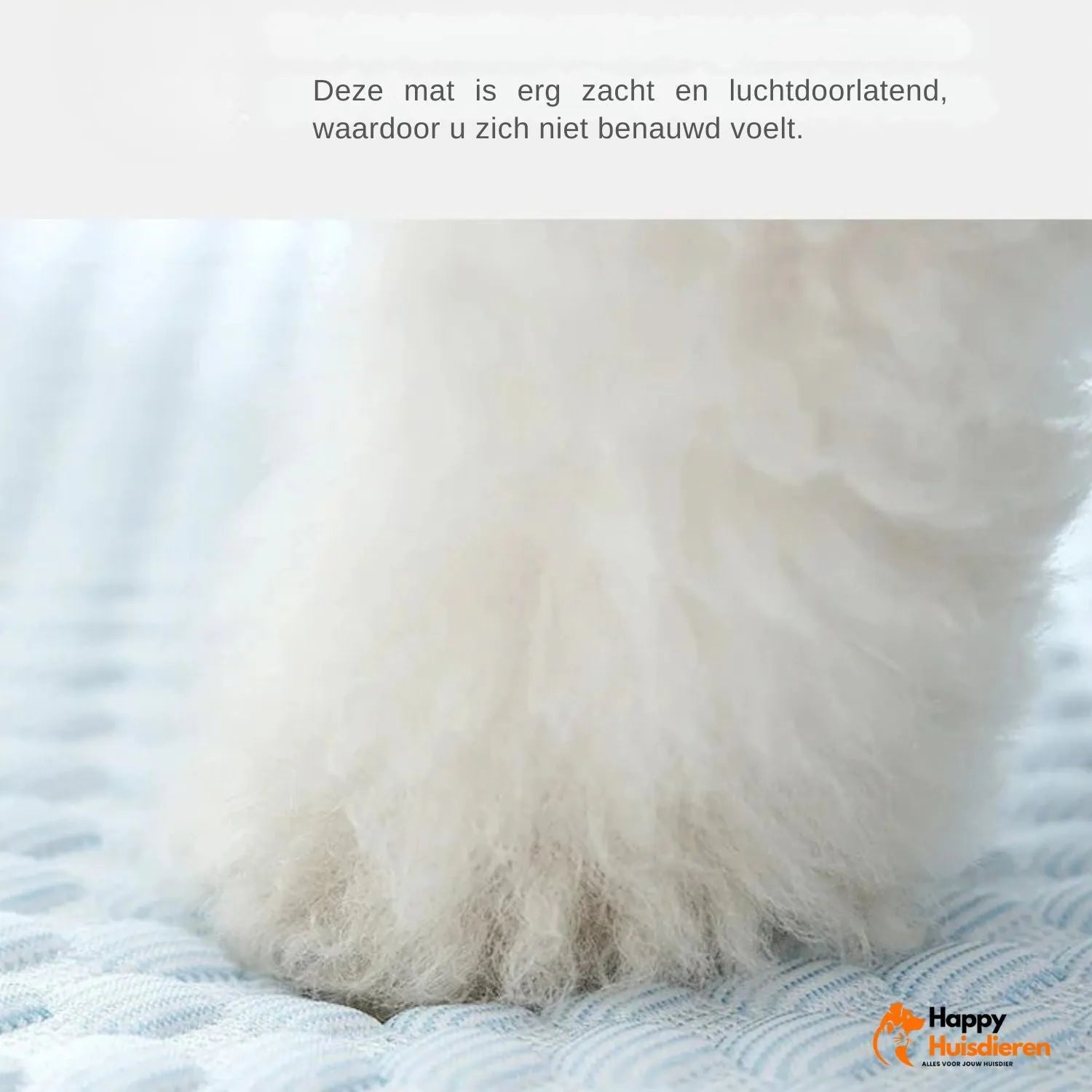 KoudePootjes | Verfrissende Koelmat voor Honden
