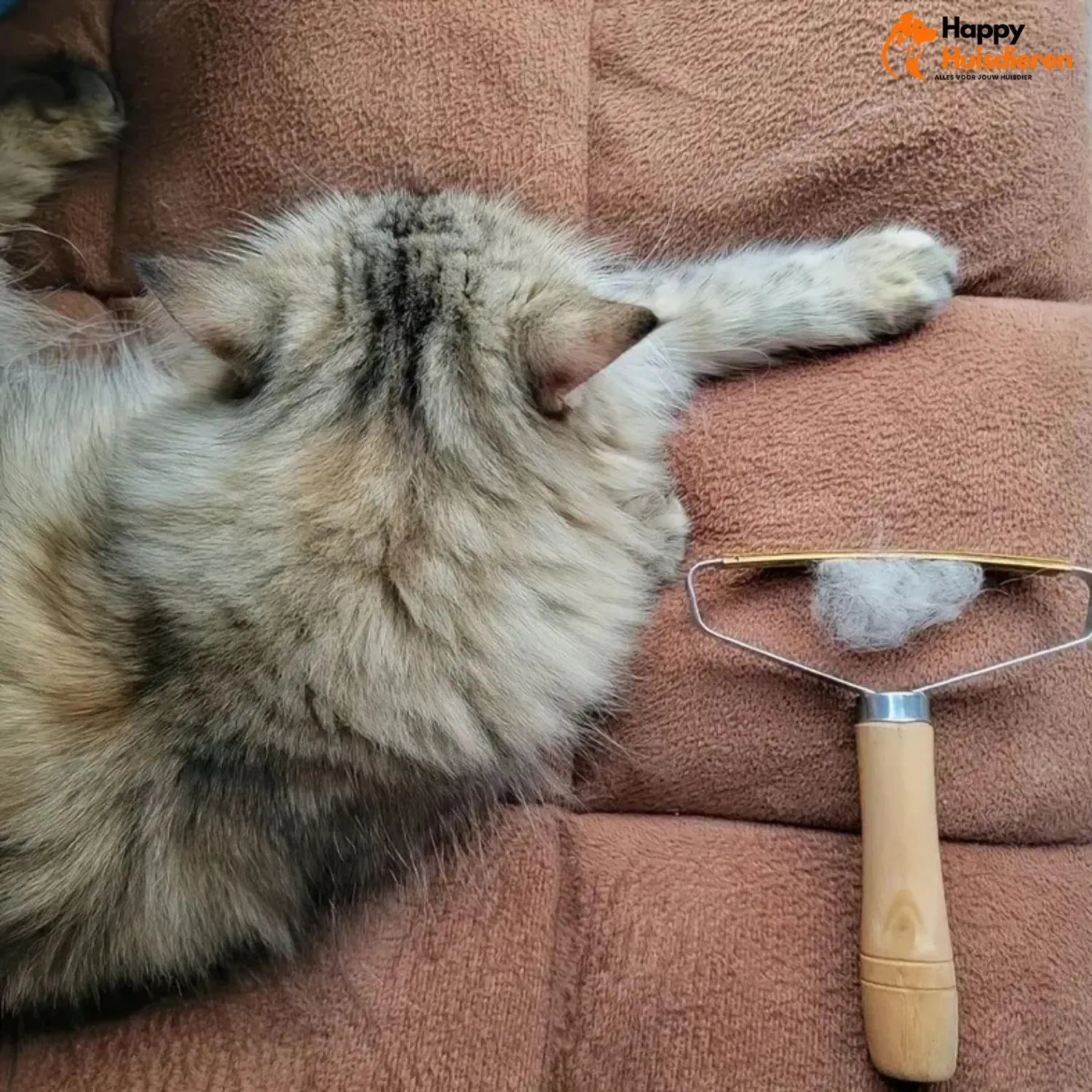 LintLift | Honden- en kattenhaarverwijderaar voor meubels, kleding en tapijten