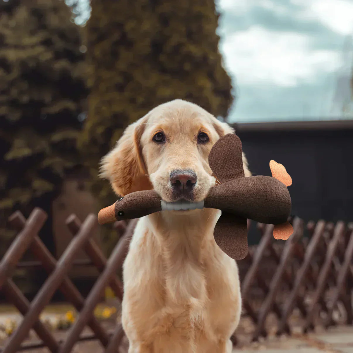 Luna | Stevig kauwspeelgoed voor honden
