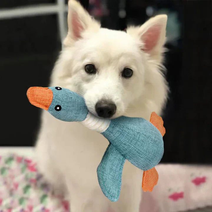 Luna | Stevig kauwspeelgoed voor honden