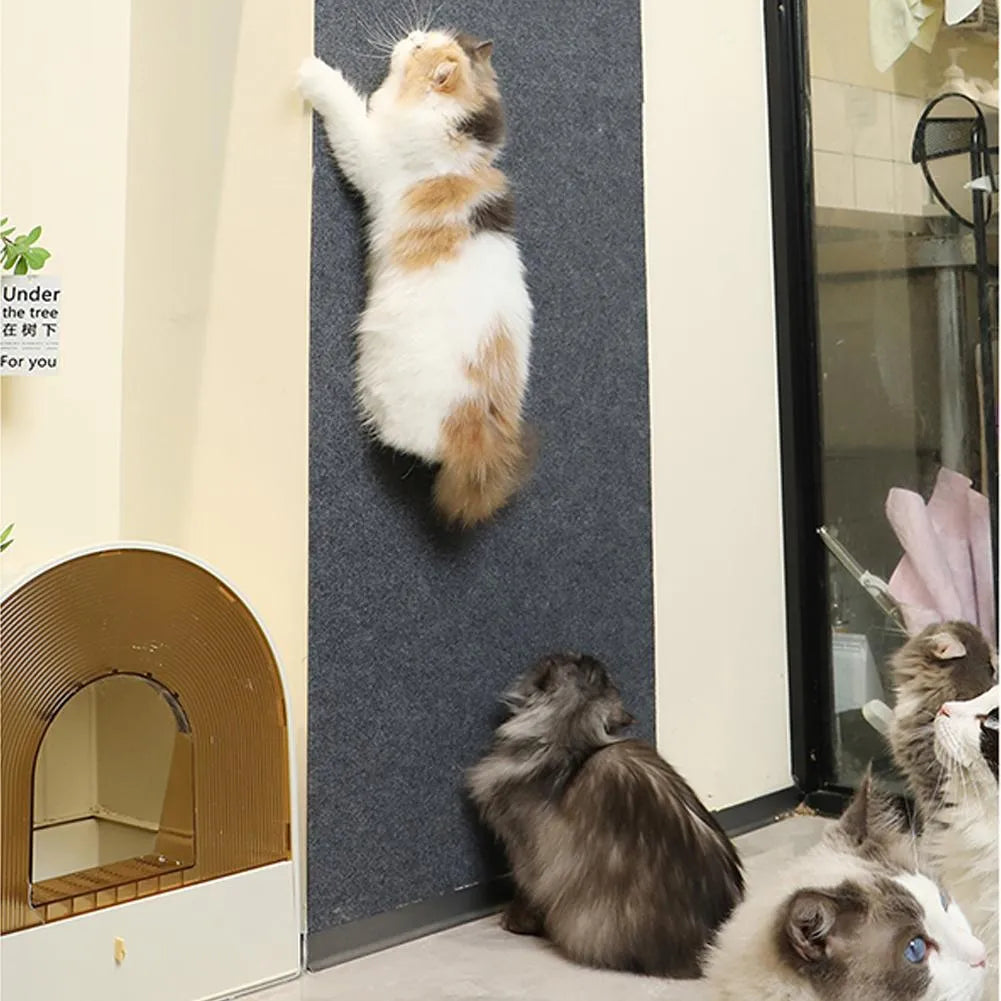 PawGuard | Krasmat voor katten die meubels écht beschermt