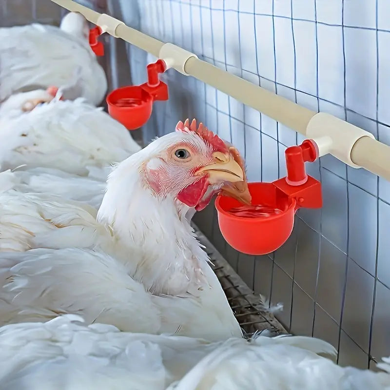 AquaFlow | Het slimme drinkwatersysteem voor stressvrije kippenverzorging