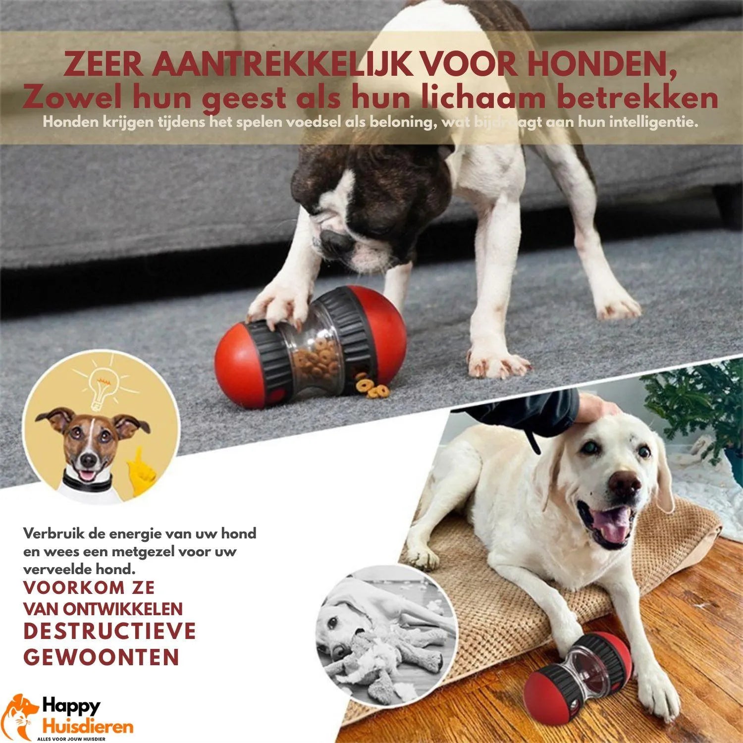 MindMeal | Interactieve voedingsoplossing voor honden voor betere eetgewoonten