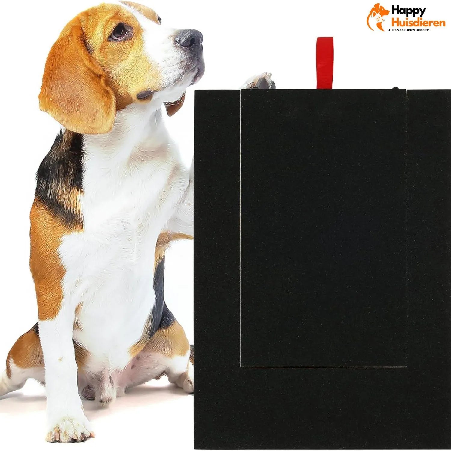 MindScratch | Stimulerend Speelbord voor Actieve en Gezonde Nagels