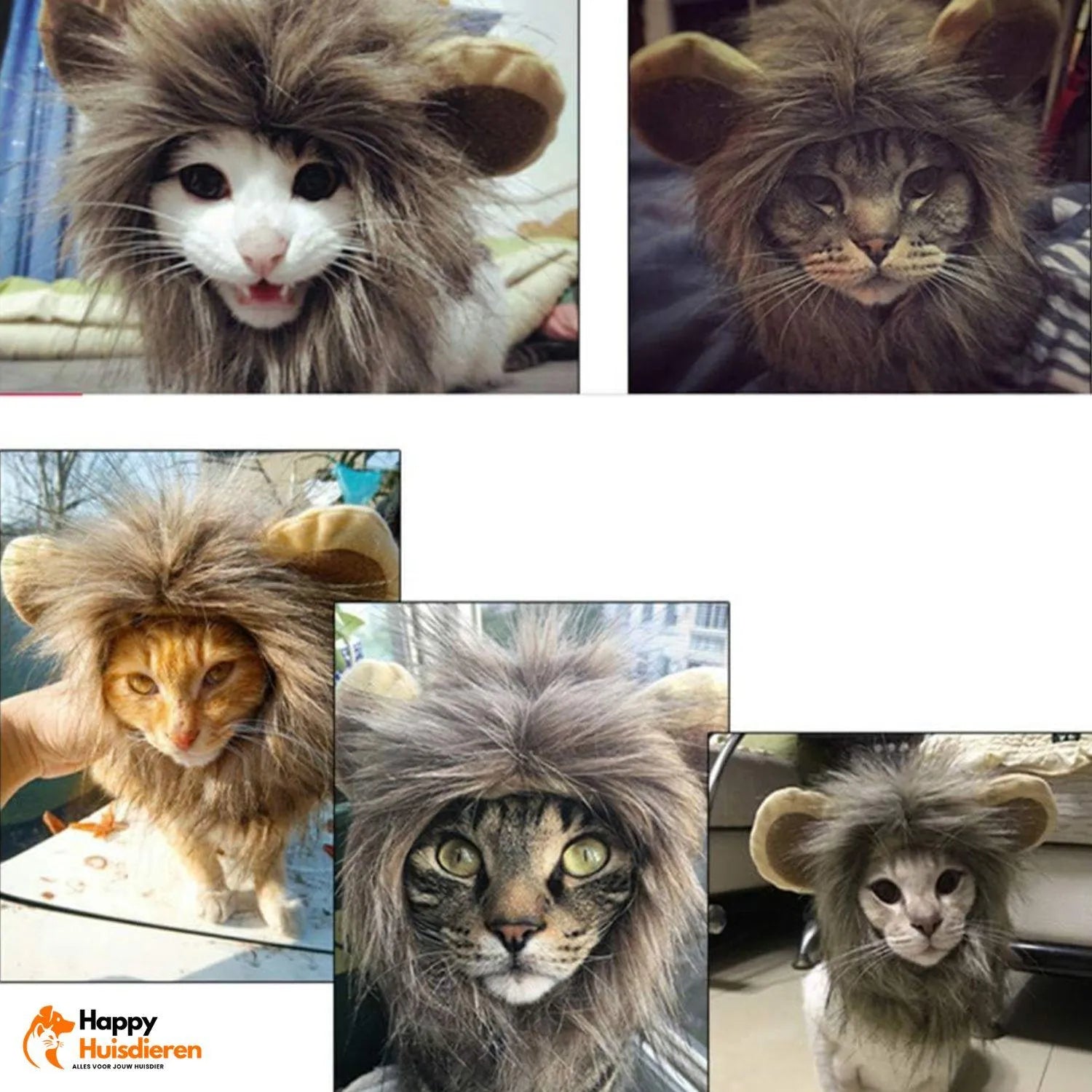 MiniLion | Kattenkostuum met Leeuwenmanen – Schattig & Comfortabel