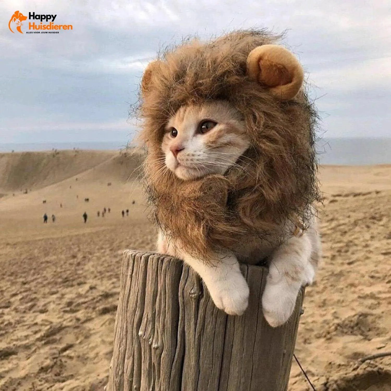 MiniLion | Kattenkostuum met Leeuwenmanen – Schattig & Comfortabel