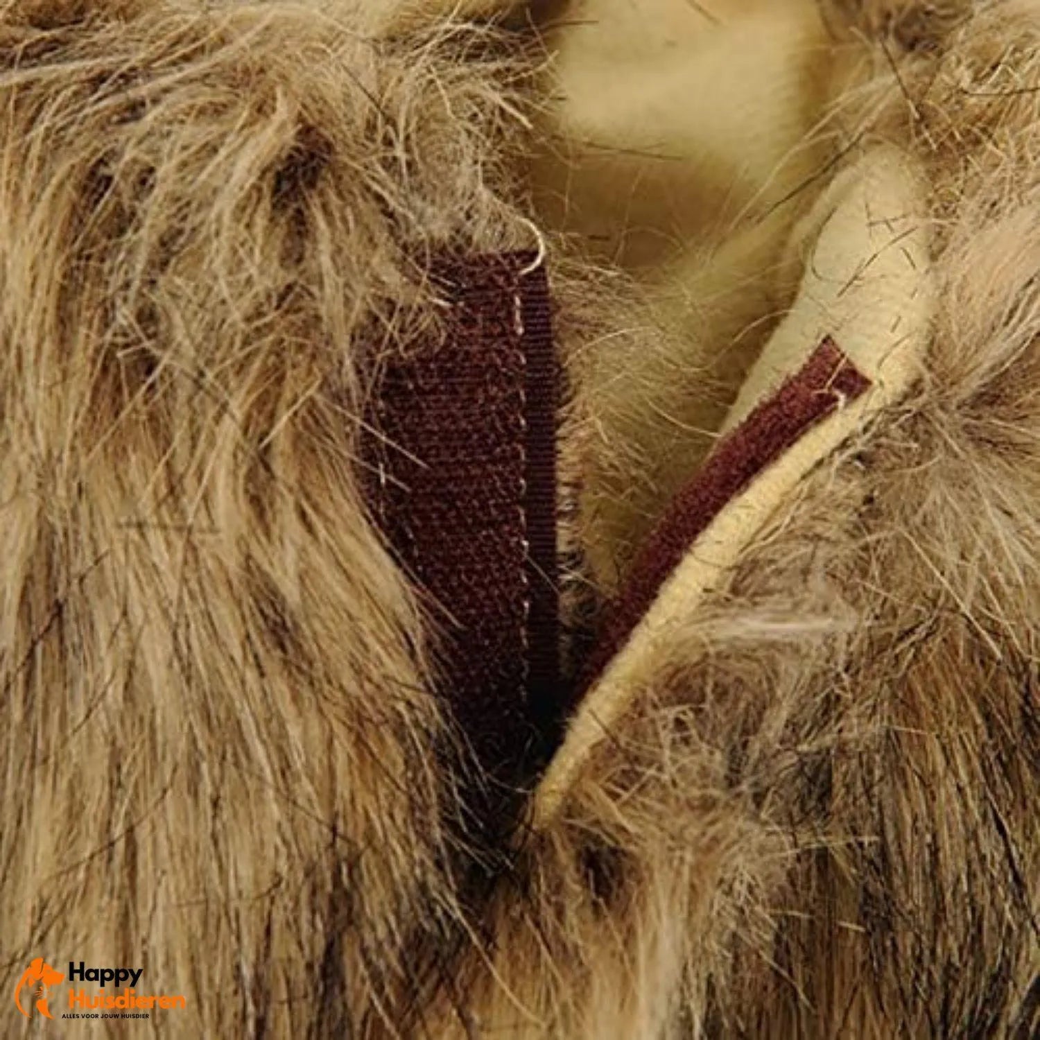 MiniLion | Kattenkostuum met Leeuwenmanen – Schattig & Comfortabel