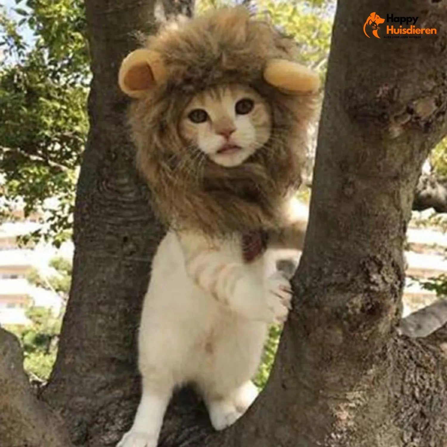 MiniLion | Kattenkostuum met Leeuwenmanen – Schattig & Comfortabel