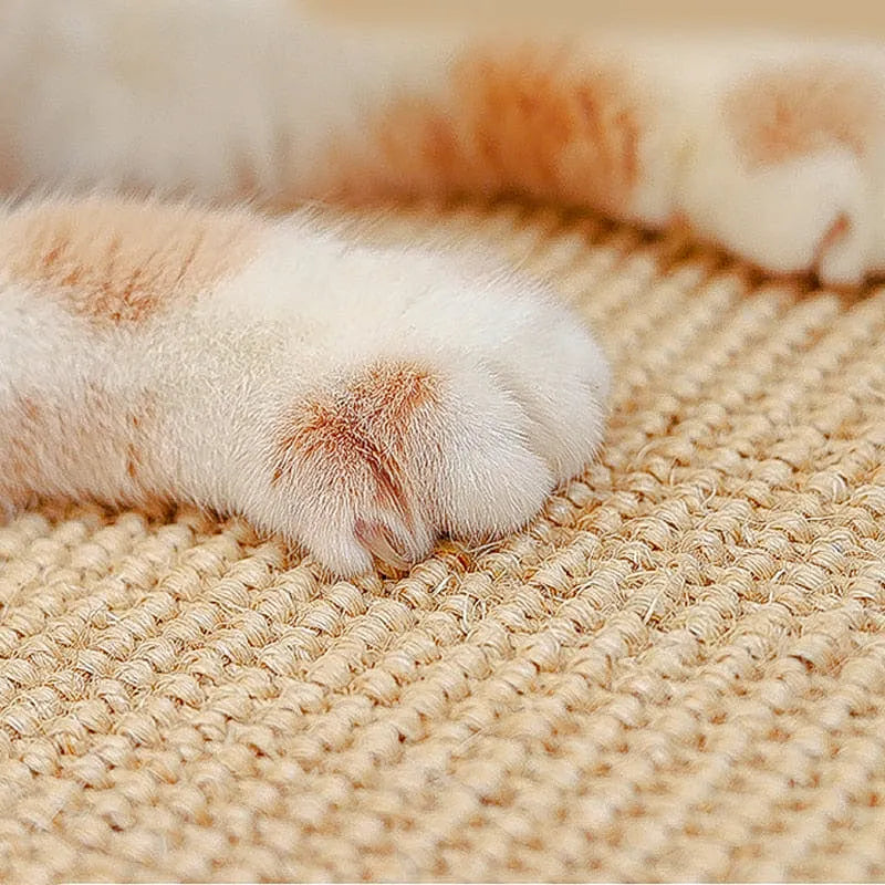 Minoes | Krabmat voor Katten voor natuurlijk krabgedrag