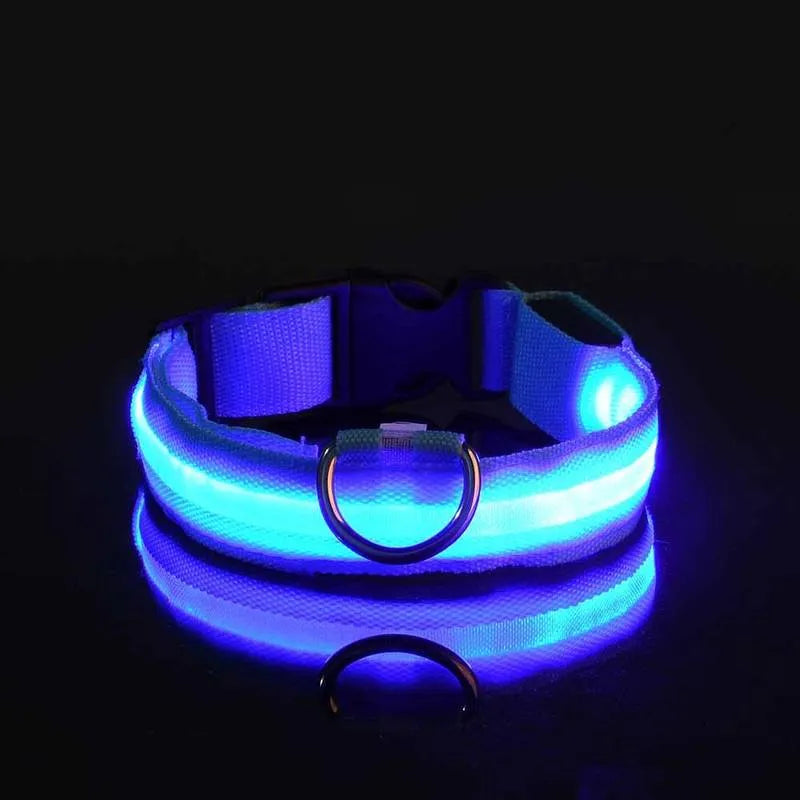 Miro | LED Hondenhalsband Voor Avondwandelingen