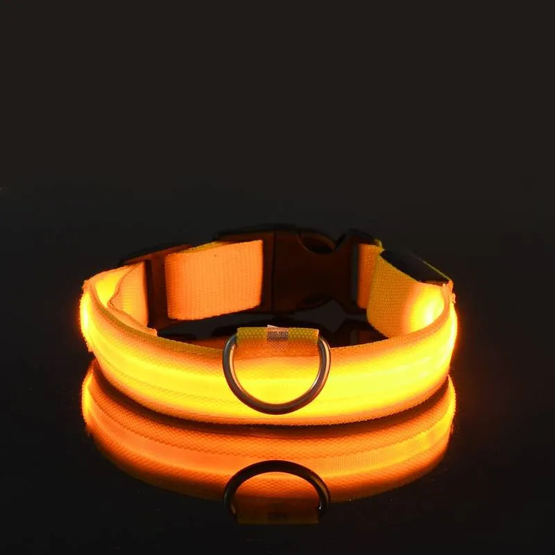 Miro | LED Hondenhalsband Voor Avondwandelingen