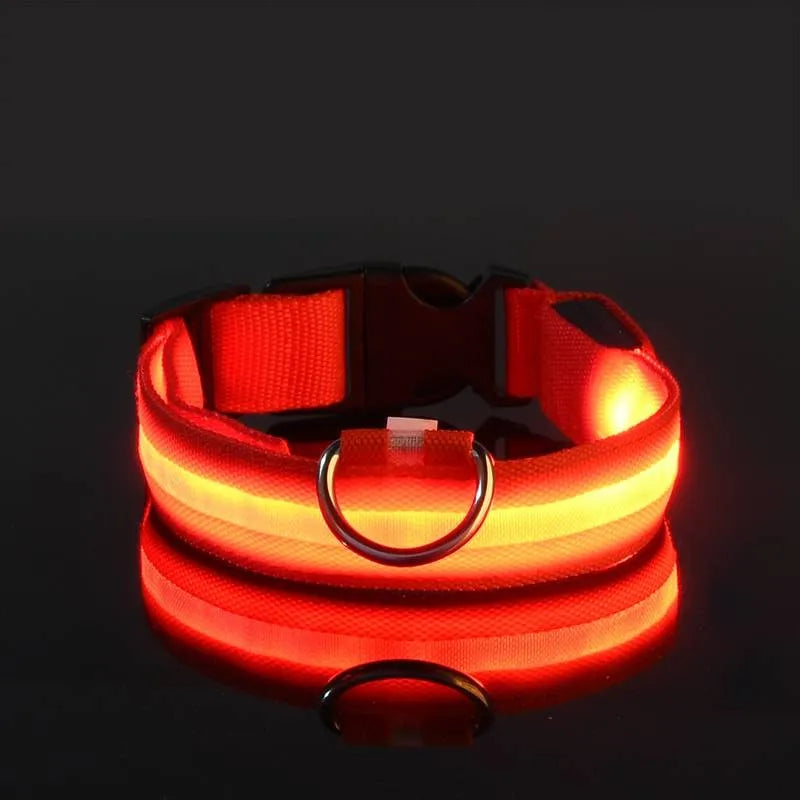 Miro | LED Hondenhalsband Voor Avondwandelingen