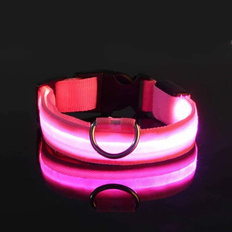 Miro | LED Hondenhalsband Voor Avondwandelingen