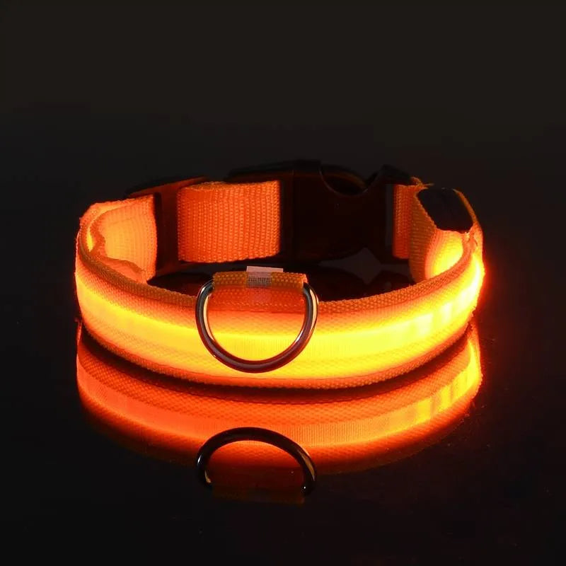 Miro | LED Hondenhalsband Voor Avondwandelingen