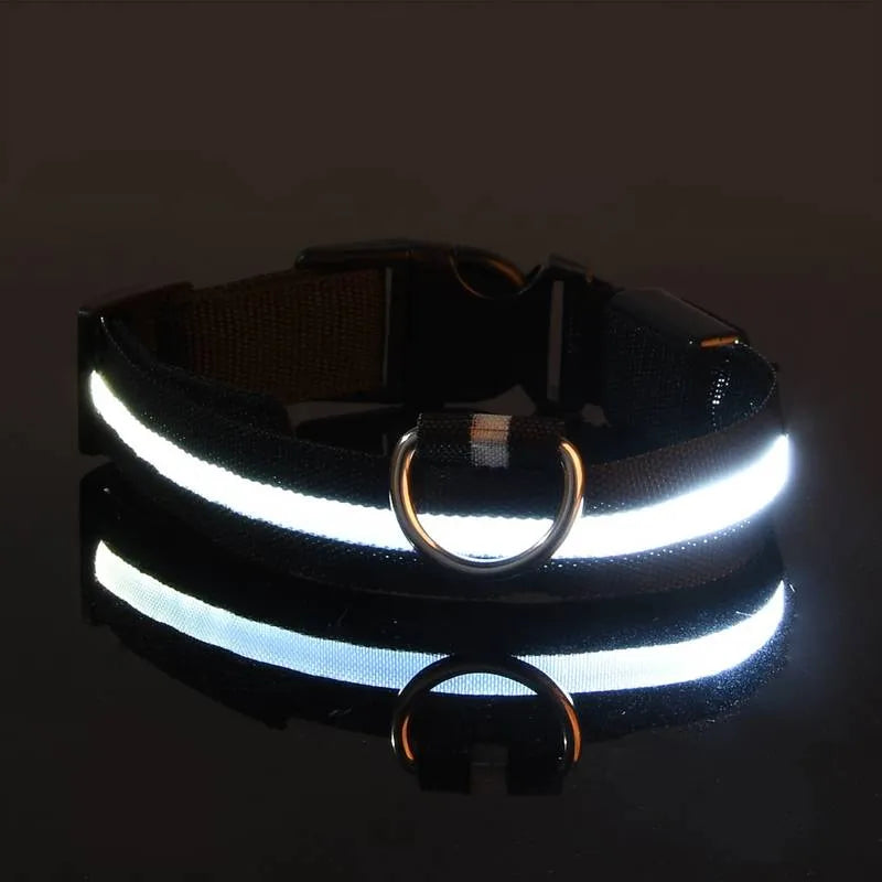 Miro | LED Hondenhalsband Voor Avondwandelingen
