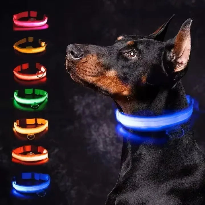 Miro | LED Hondenhalsband Voor Avondwandelingen
