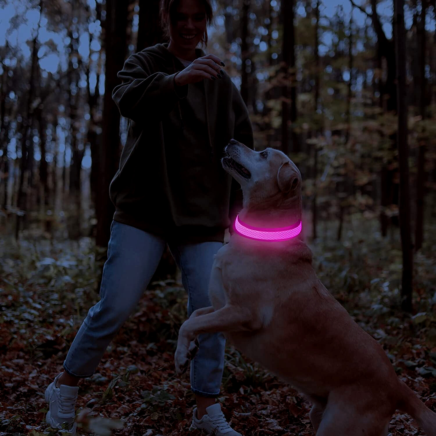 Miro | LED Hondenhalsband Voor Avondwandelingen