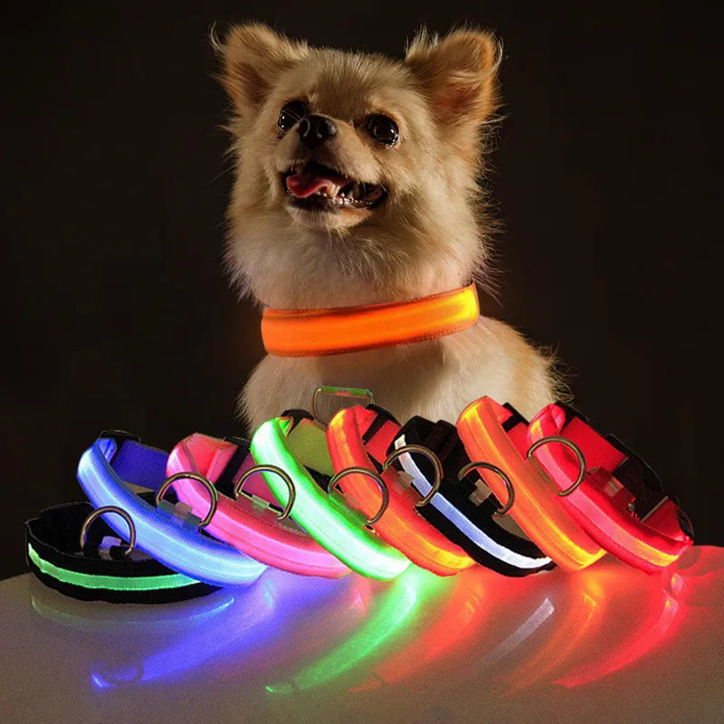 Miro | LED Hondenhalsband Voor Avondwandelingen