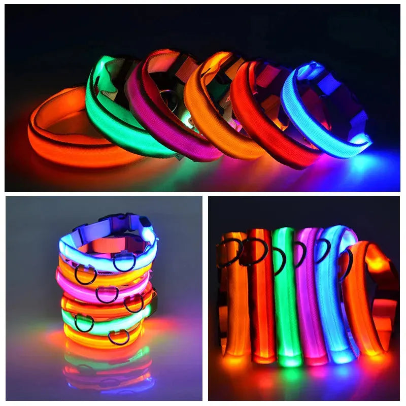 Miro | LED Hondenhalsband Voor Avondwandelingen