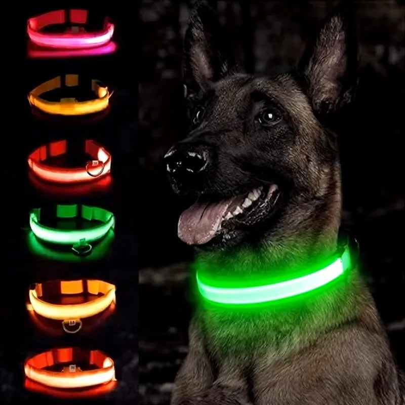 Miro | LED Hondenhalsband Voor Avondwandelingen