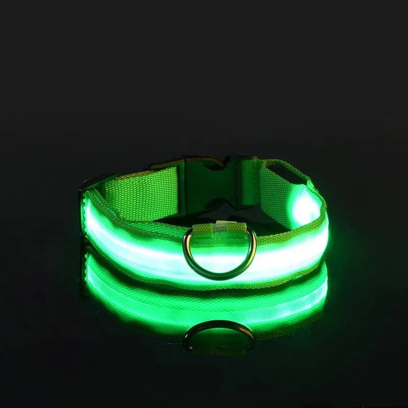 Miro | LED Hondenhalsband Voor Avondwandelingen