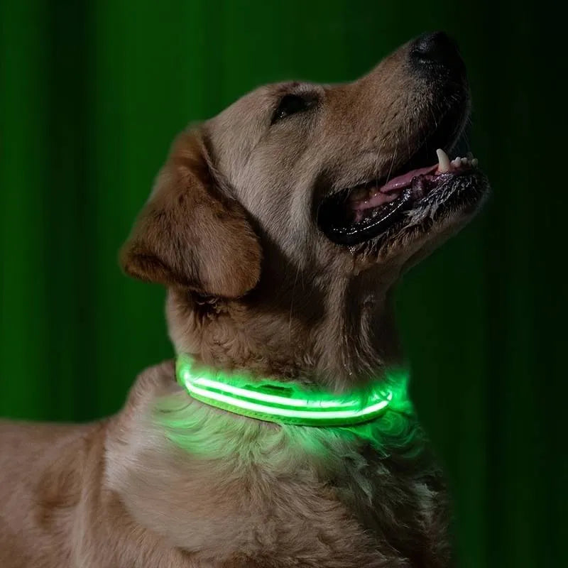 Miro | LED Hondenhalsband Voor Avondwandelingen