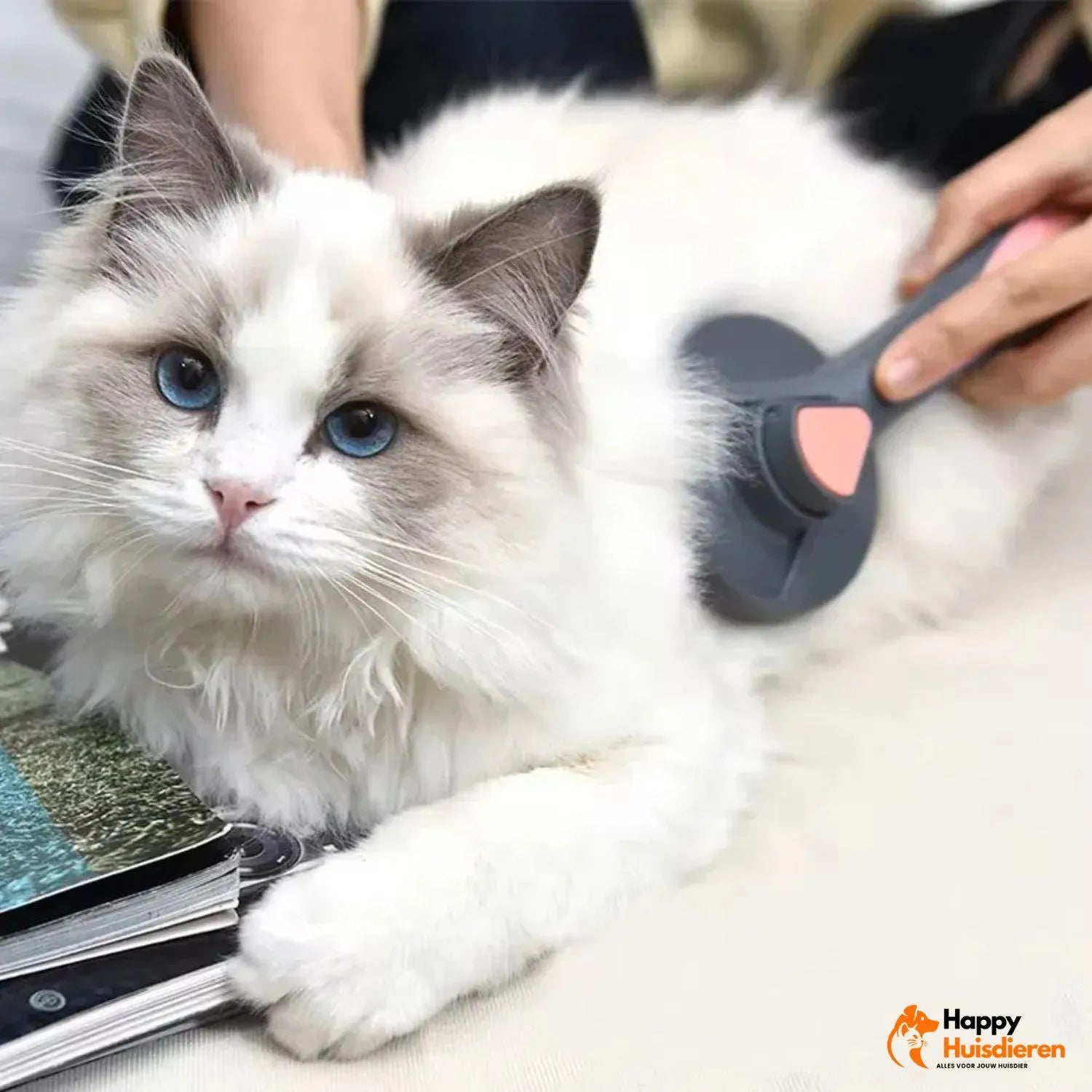 Moos | Zelfreinigende borstel voor katten – zacht, efficiënt & comfortabel