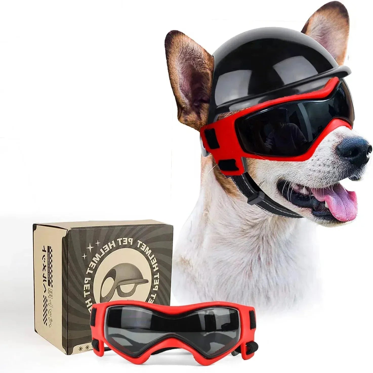 MotoPaw Hondenset | Helm en Beschermende Bril voor Kleine Honden op de Motor