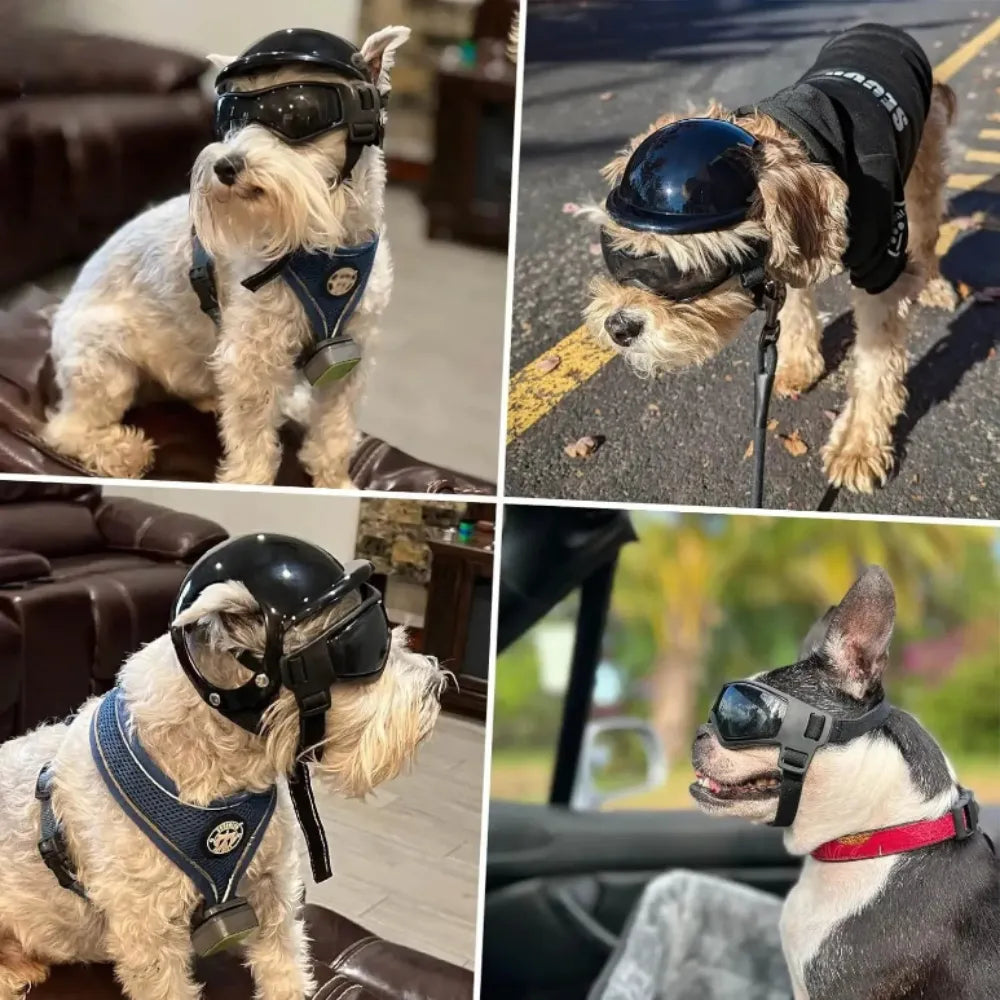 MotoPaw Hondenset | Helm en Beschermende Bril voor Kleine Honden op de Motor