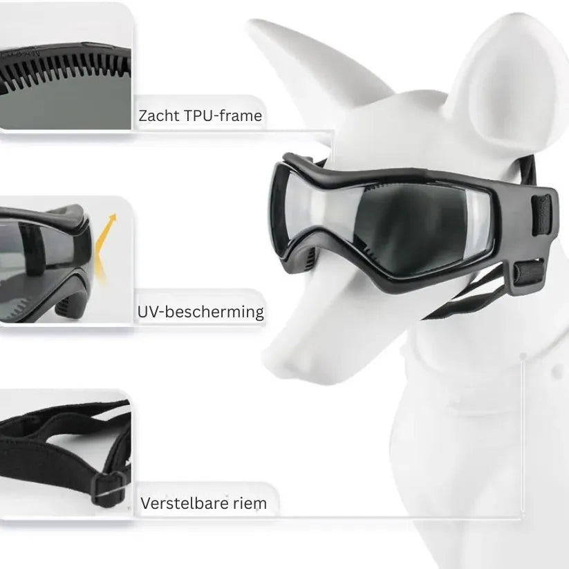 MotoPaw Hondenset | Helm en Beschermende Bril voor Kleine Honden op de Motor