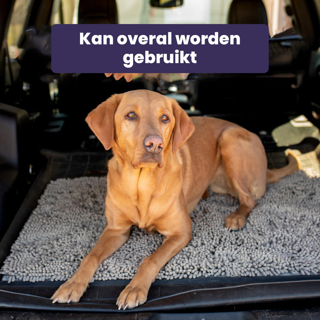 MudStop PawMat | Honden deurmat superabsorberend tegen modder