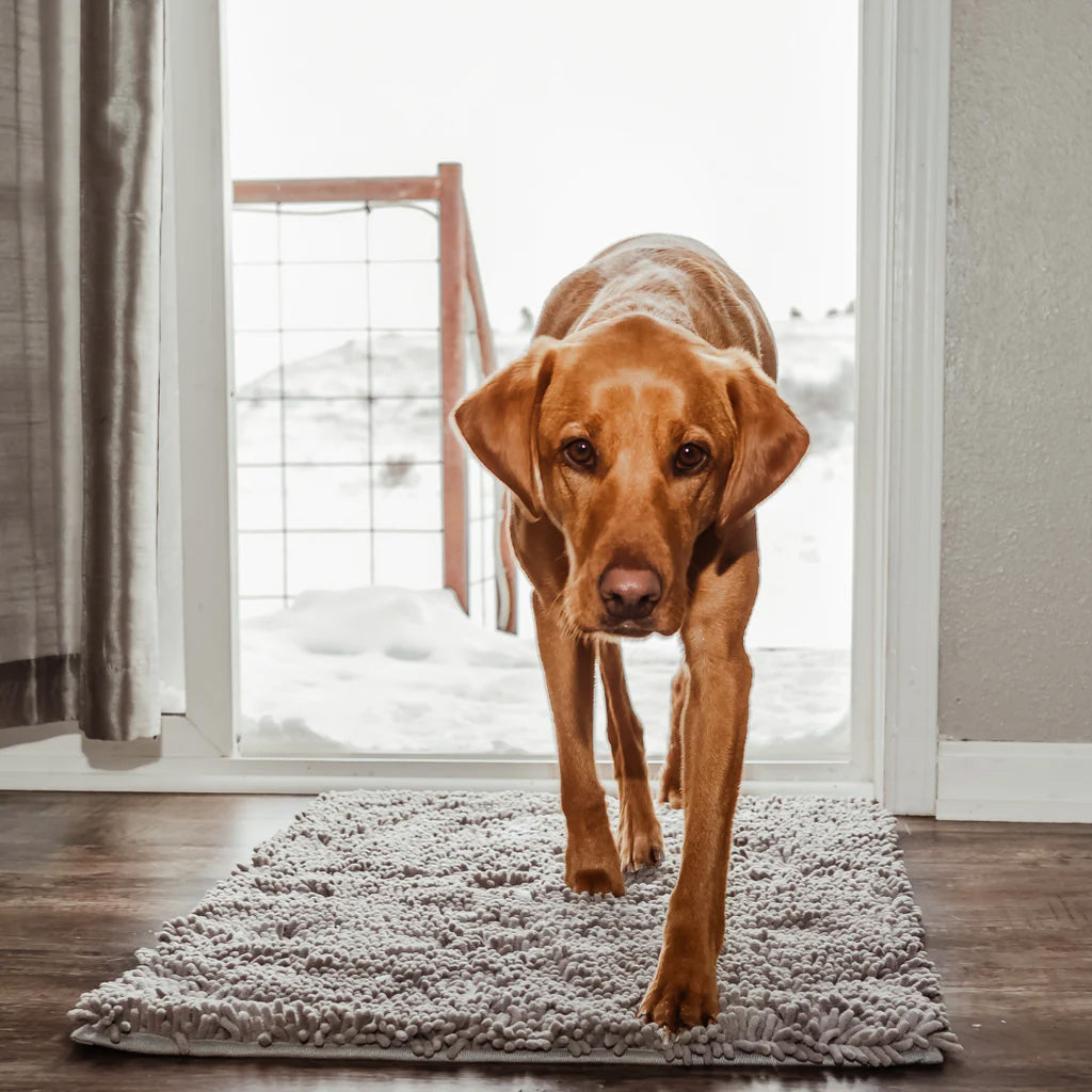 MudStop PawMat | Honden deurmat superabsorberend tegen modder