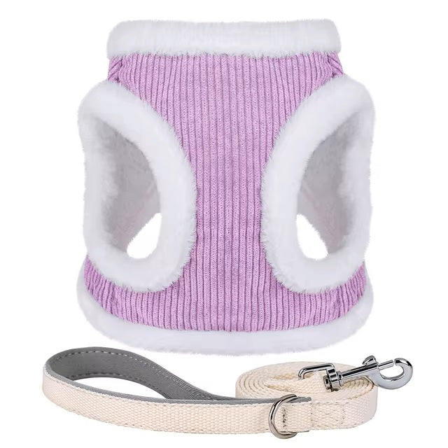 Luna | Comfortabel hondentuigje voor ontspannen wandelingen
